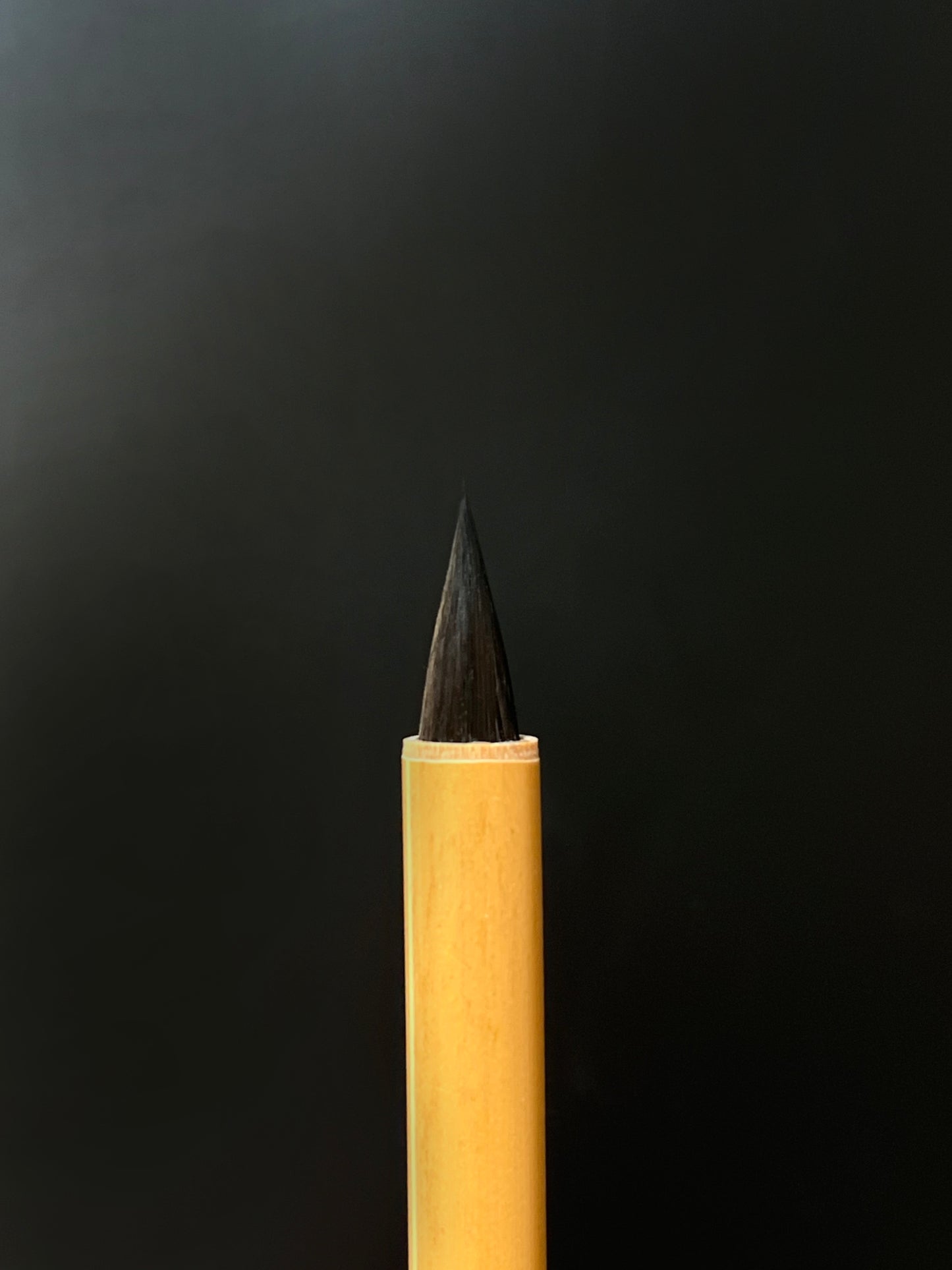 Horse hair Short tip medium brush