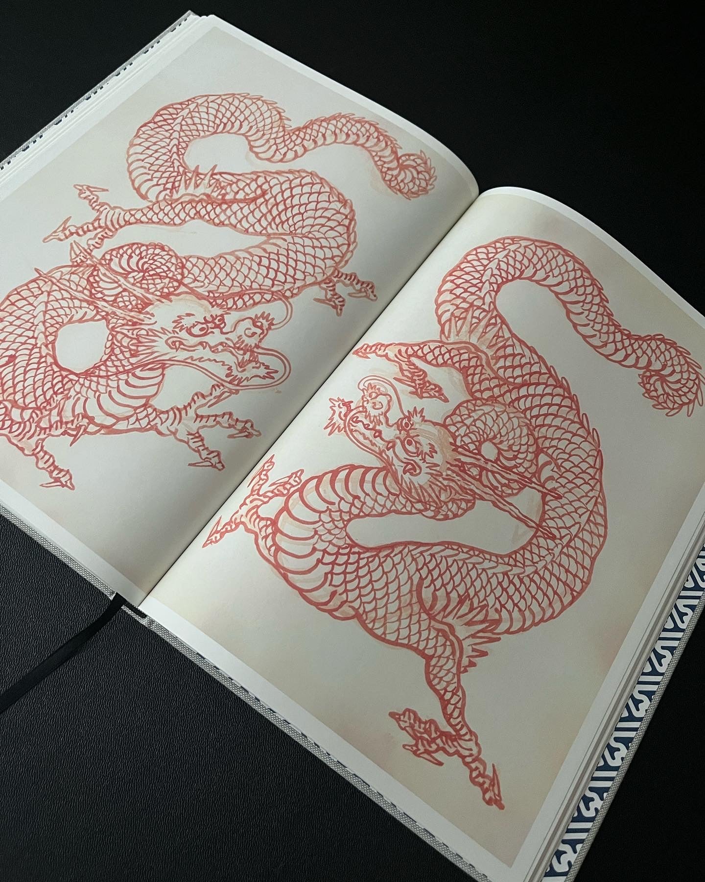 Dragon_studies_florencio_rojas_page