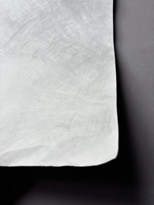 Tyvek paper sheet 75x50 cm 59g