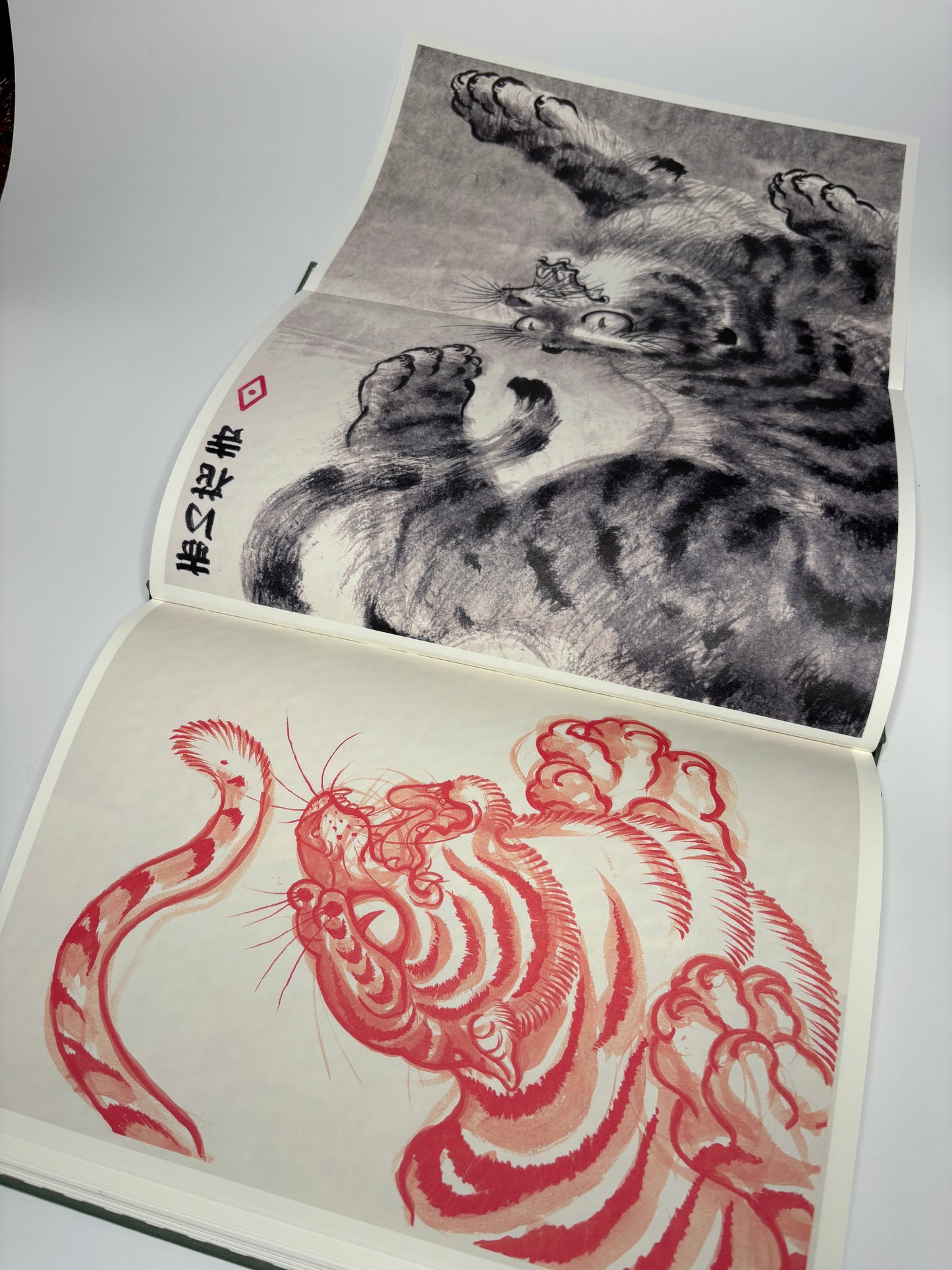 Tiger Studies