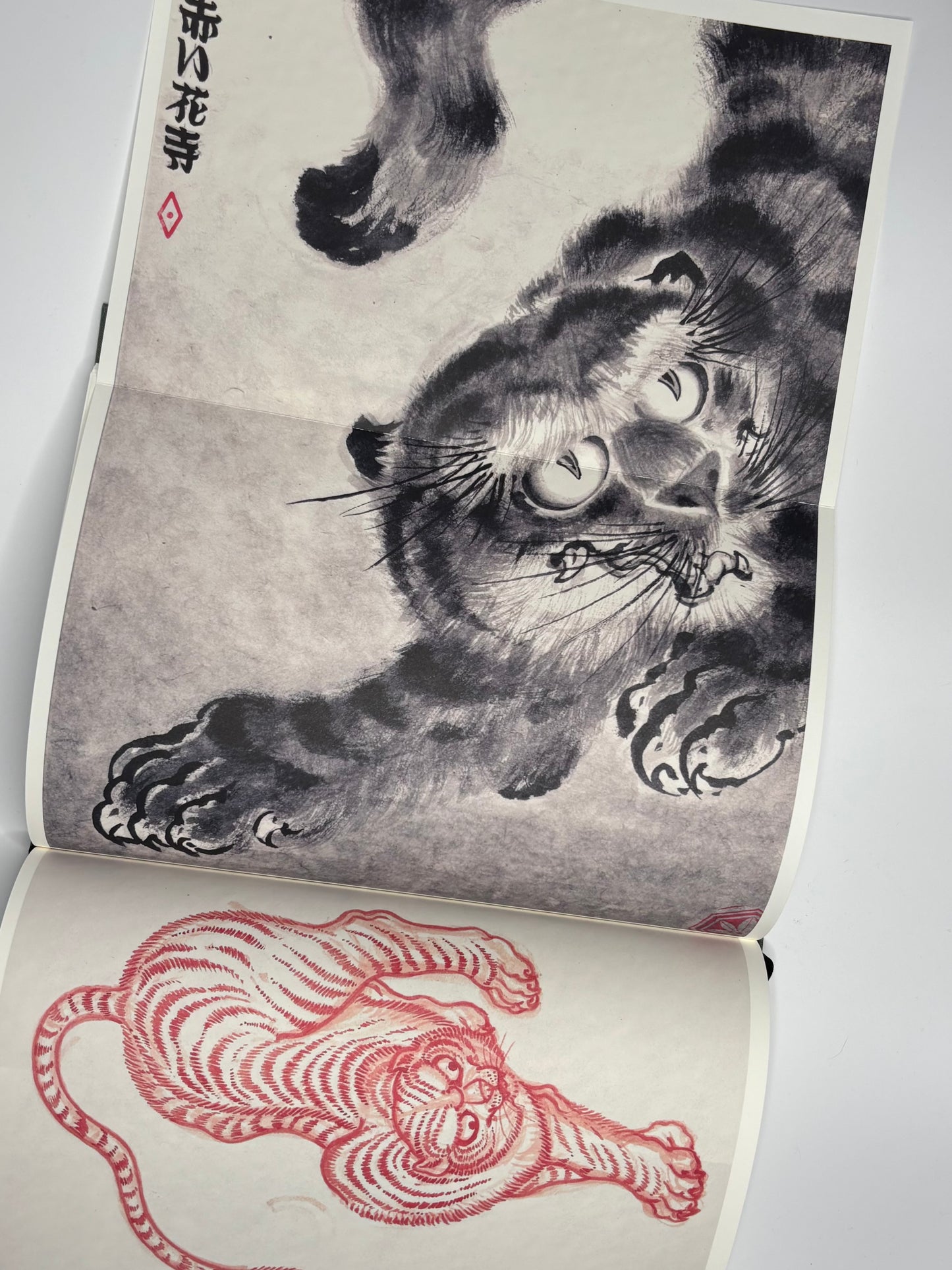 Tiger Studies