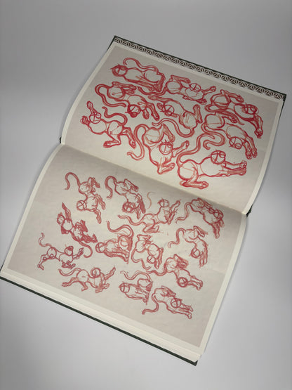 Tiger Studies