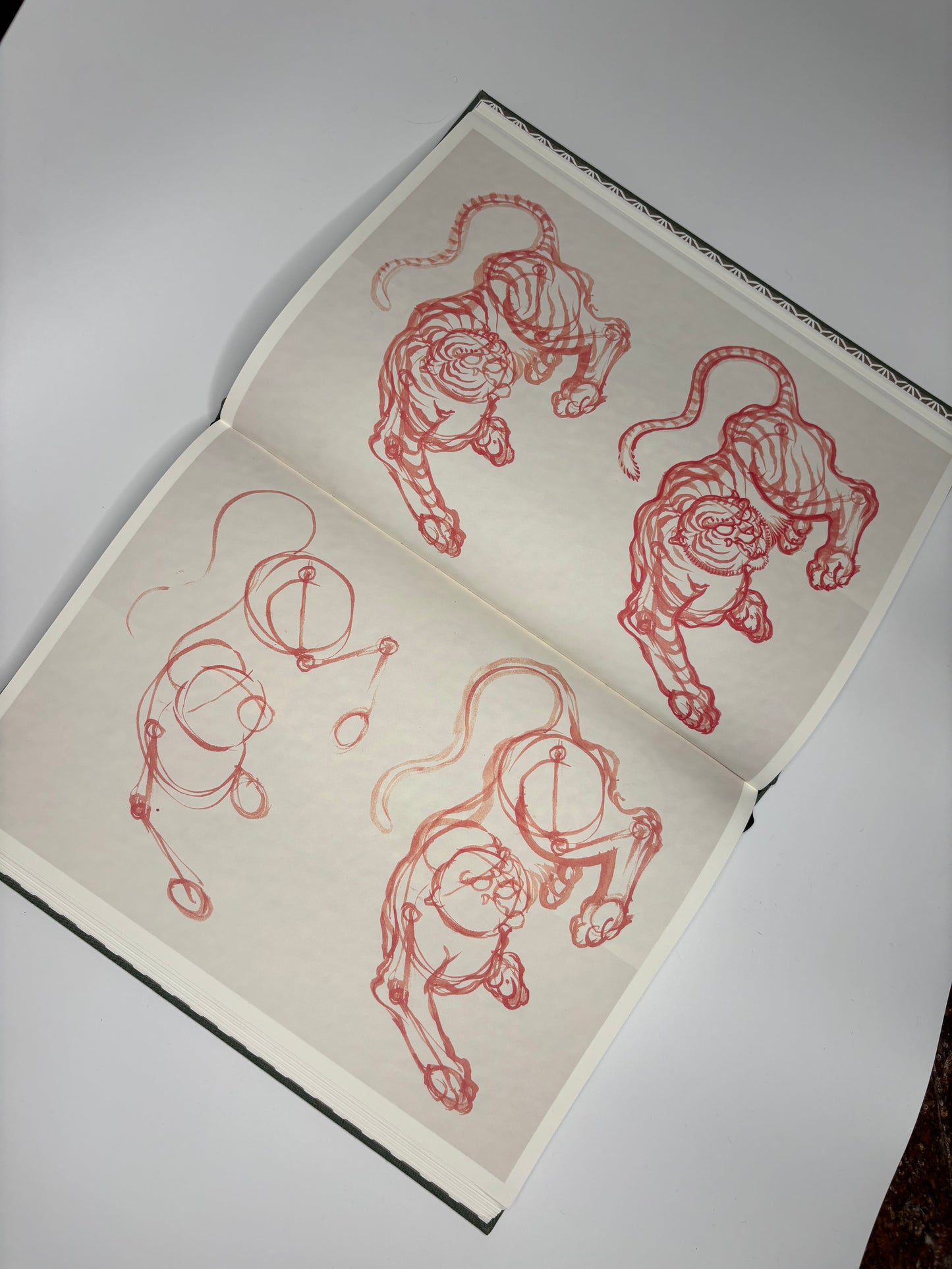 Tiger Studies