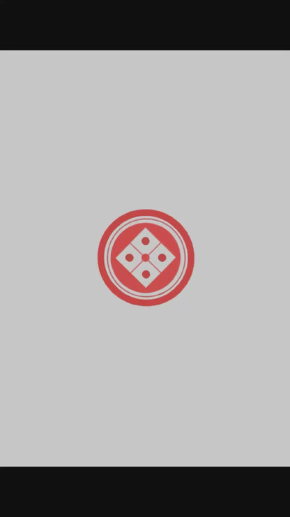 Mastering the basics - Online Japanese Art Seminars