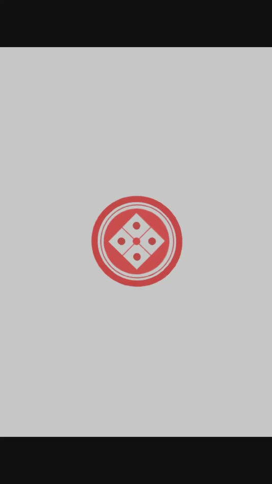 Mastering the basics - Online Japanese Art Seminars