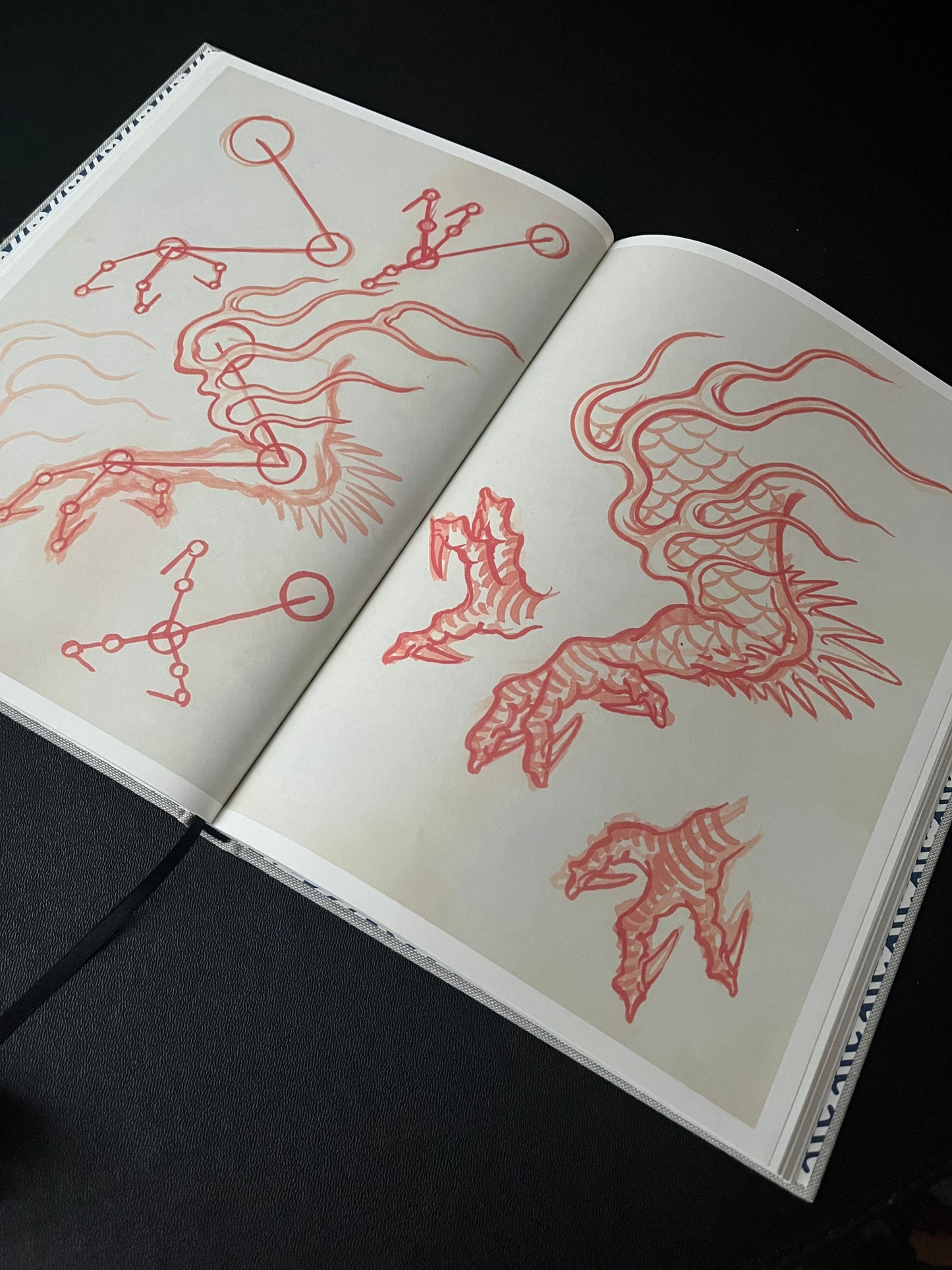 Dragons studies book