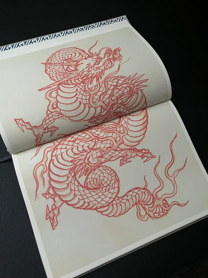 Dragons studies book